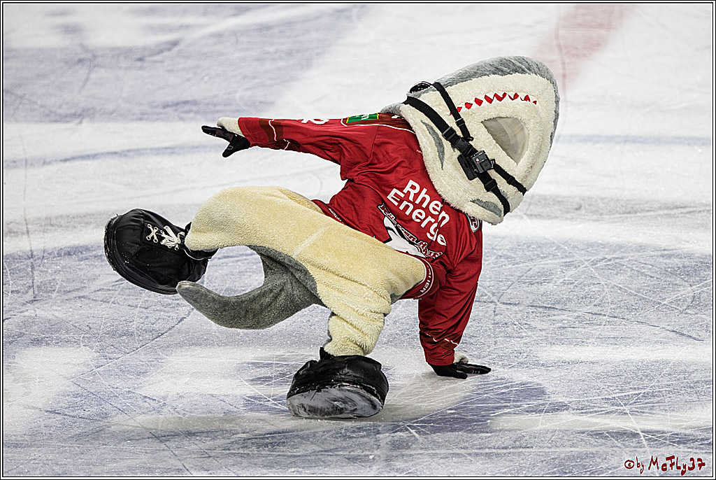 DEL, Koelner Haie - Grizzlys Wolfsburg, 17.03.2017